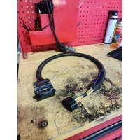 GWM Cannon Wiring Harness (MY25-On) – 12 Pin Flat | Suits Alpha, XSR & Standard