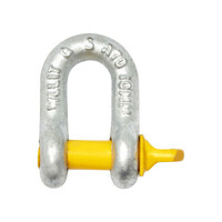 Rated D Shackle 10mm 1000kg (PA198) by Hayman Reese
