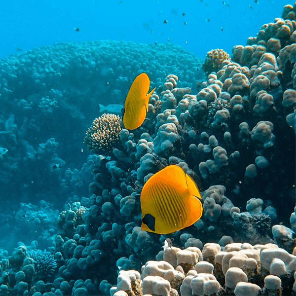 Five Australian destinations to ignite your senses